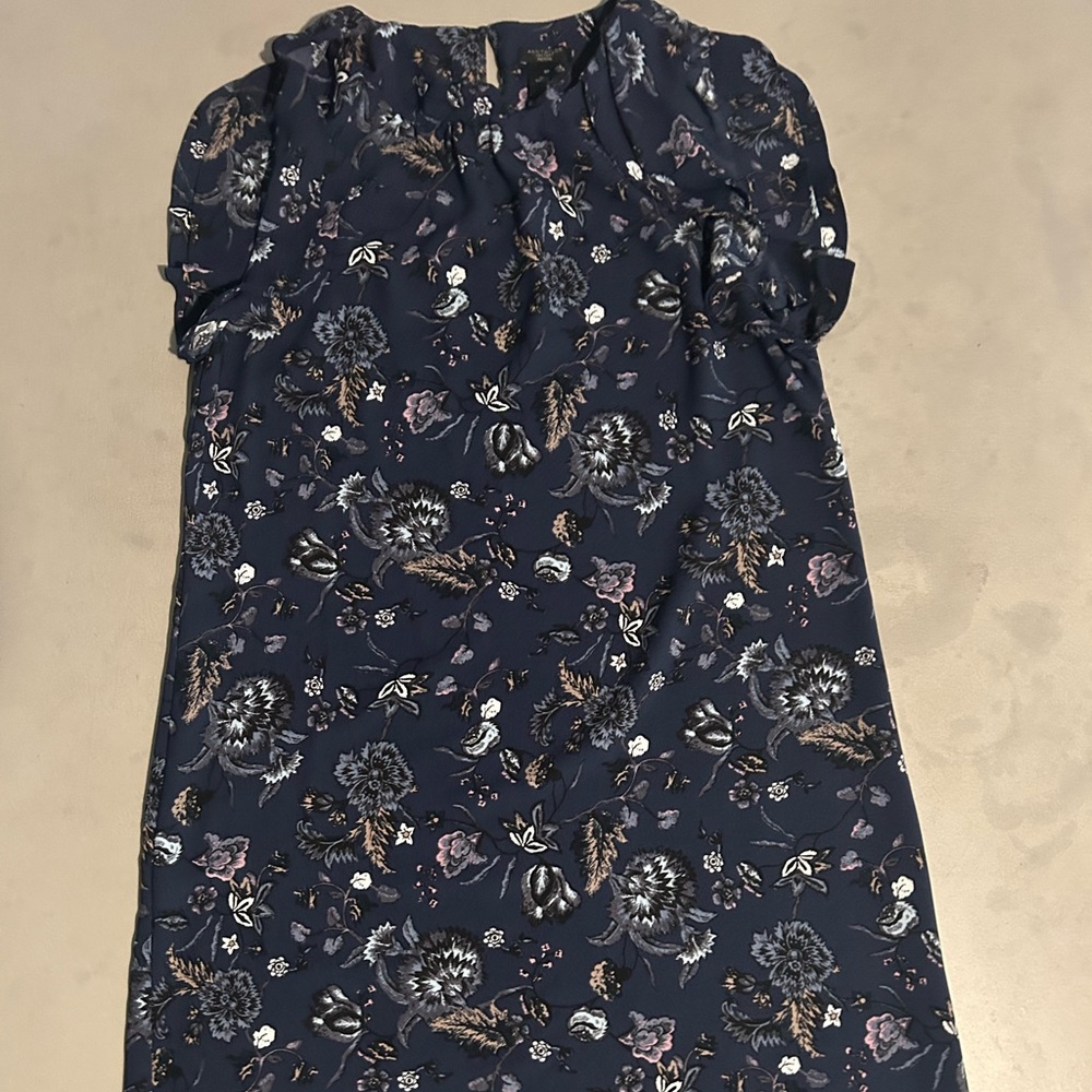 Ann Taylor Sleeveless Mini Dress